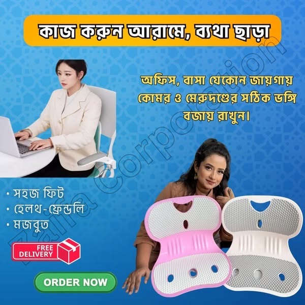 Waist Back Support Chair